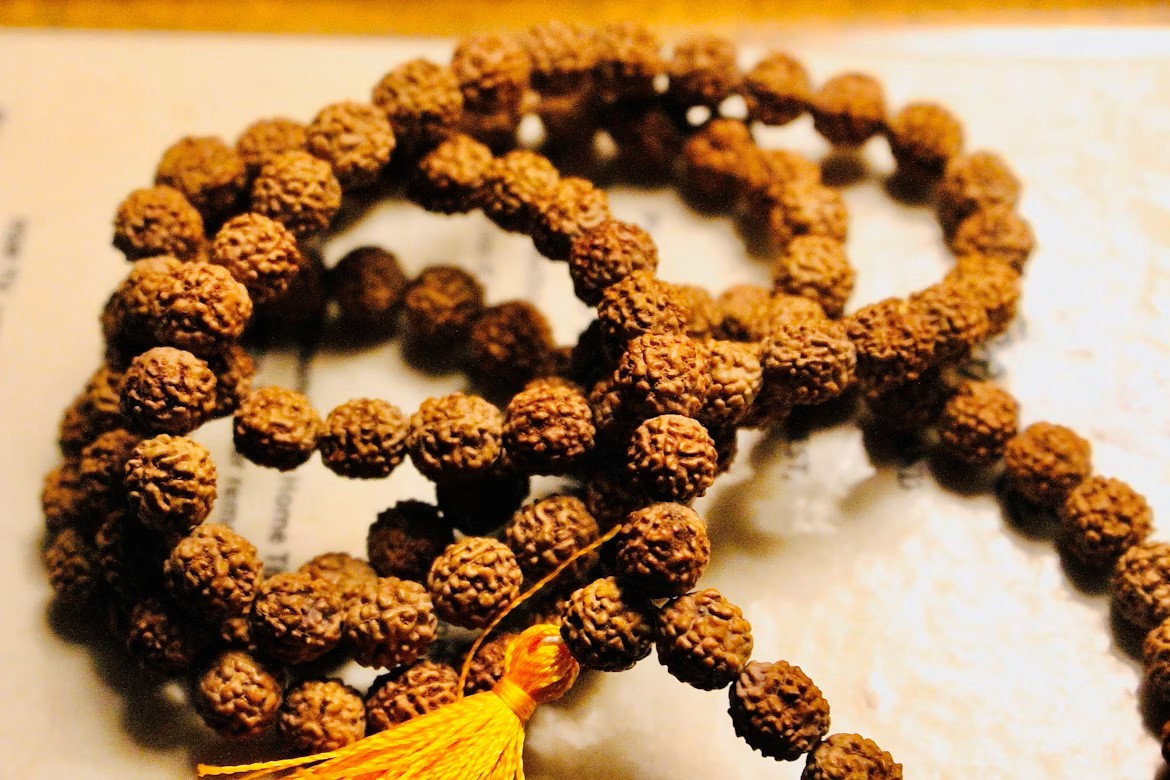 all_types_of_Rudraksha.jpg